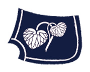 葵